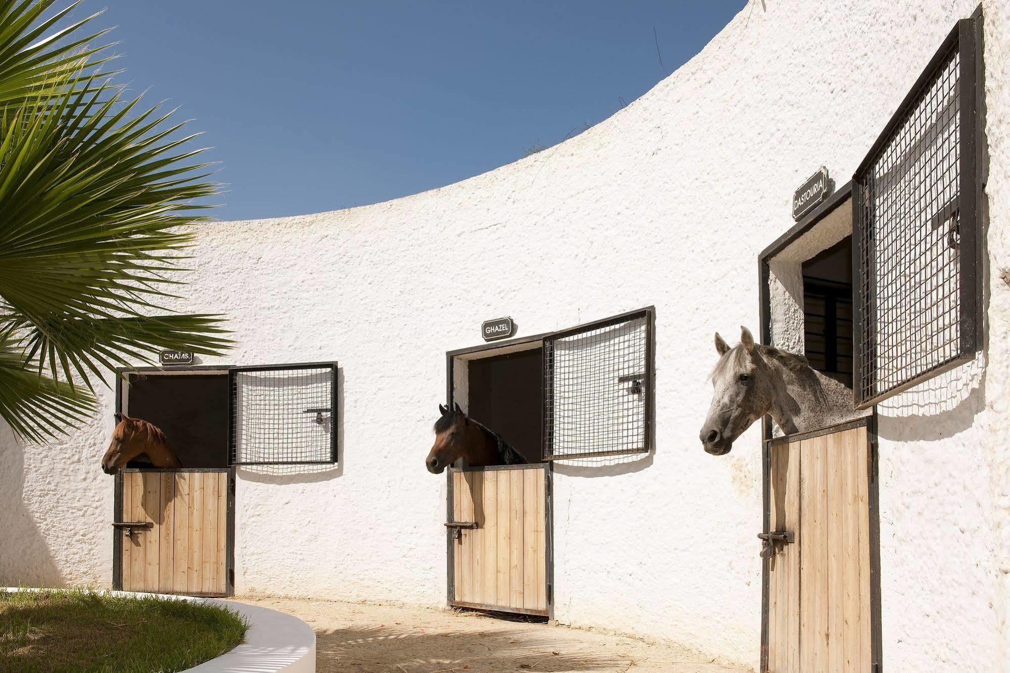 Sentido Phenicia Hotel Hammamet Exterior foto